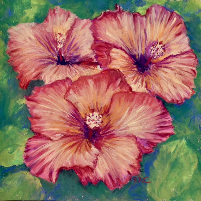 Hibiscus Trio by artist Rhodema Cargill